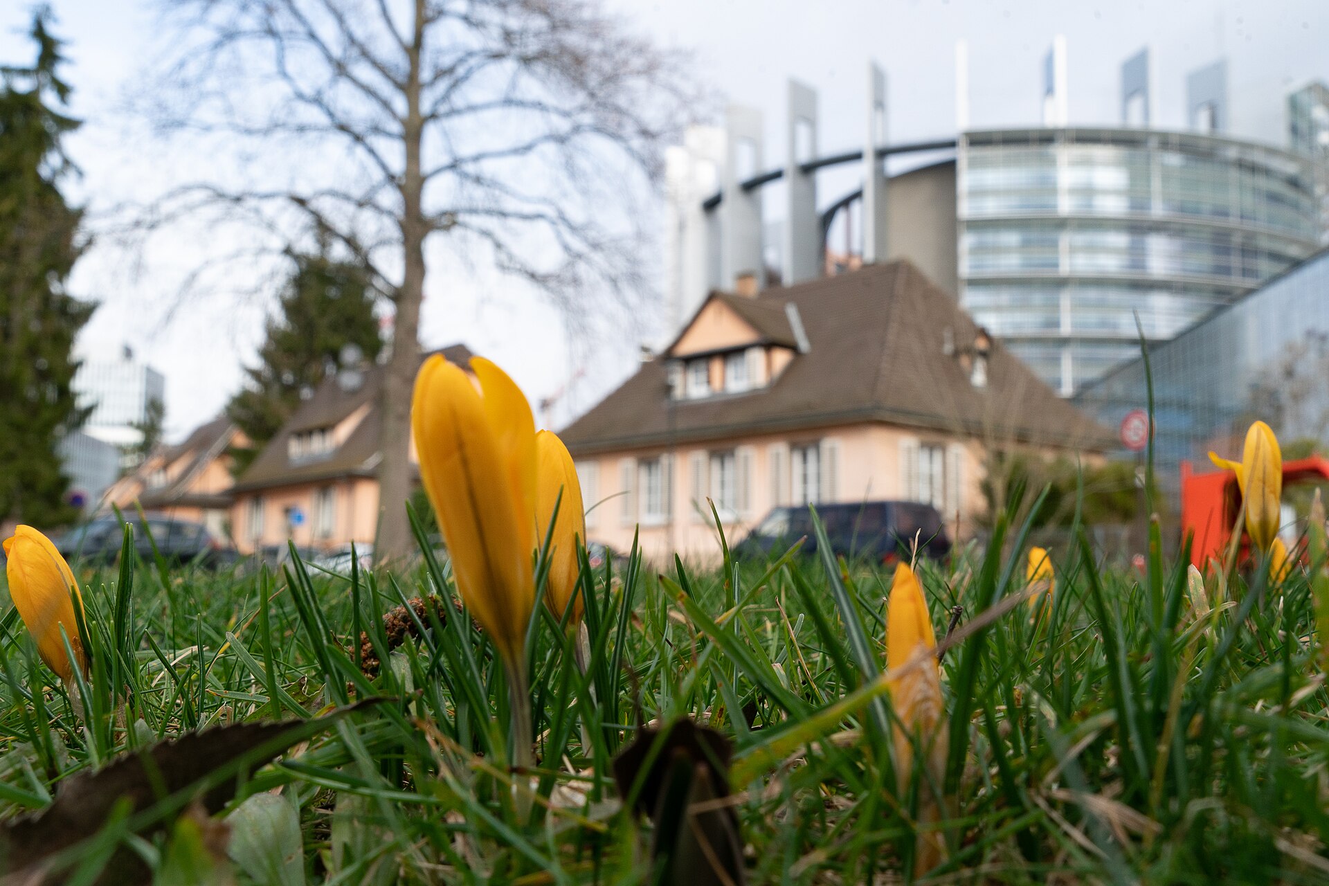 EU AI Act Compliance Checklist for Businesses — editorial photograph